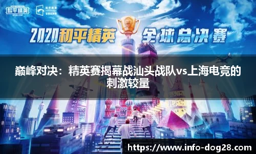 狗子28官方网站